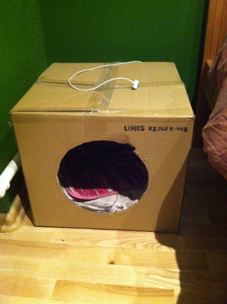 Niknā saimniece jau prom