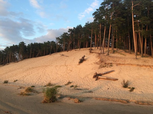 57332_c3UPWLSpwihJYKZx_CXHfvKHbI9hbL9m4pvdgkzwF1c