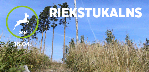 Riekstukalns2