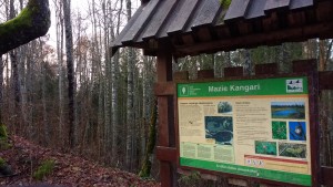 IMG_20171112_154559682