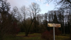 IMG_20171112_160151818