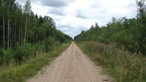 Taisnais2018, cels_9