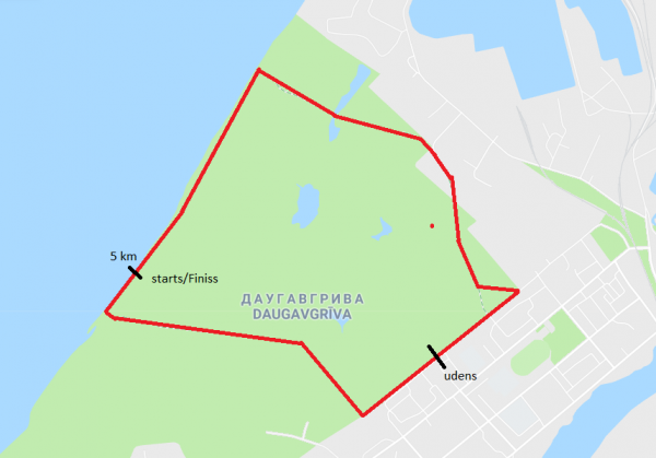 57221382_2346046459005791_2954609188052926464_n