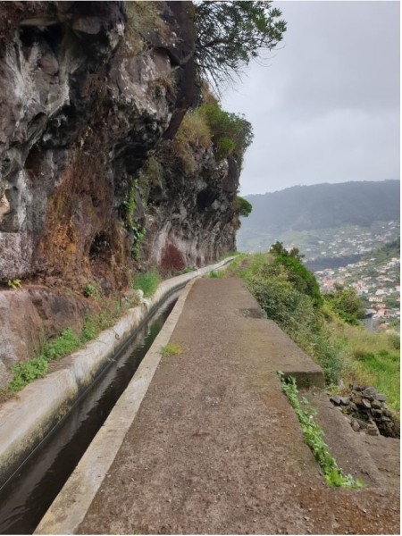 Levada dienas gaismā.