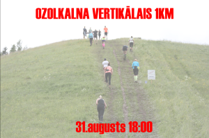 Ozolkalna_VK_FB_poster