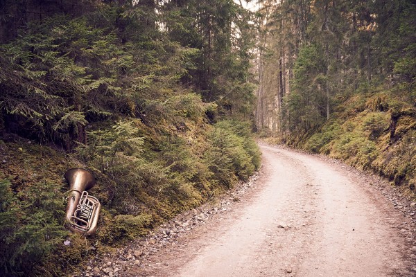 310505116_576699804252672_3116942068116426878_n