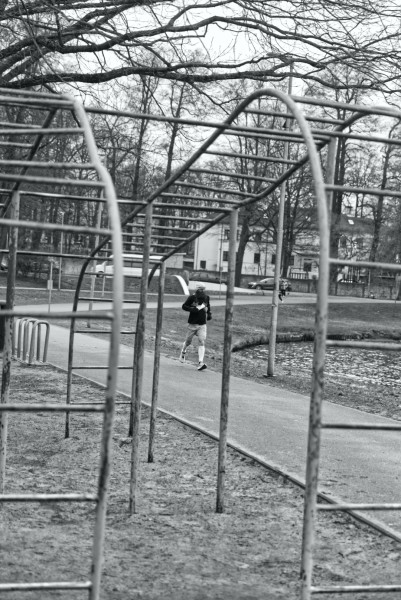 IMG-1427 (Large)